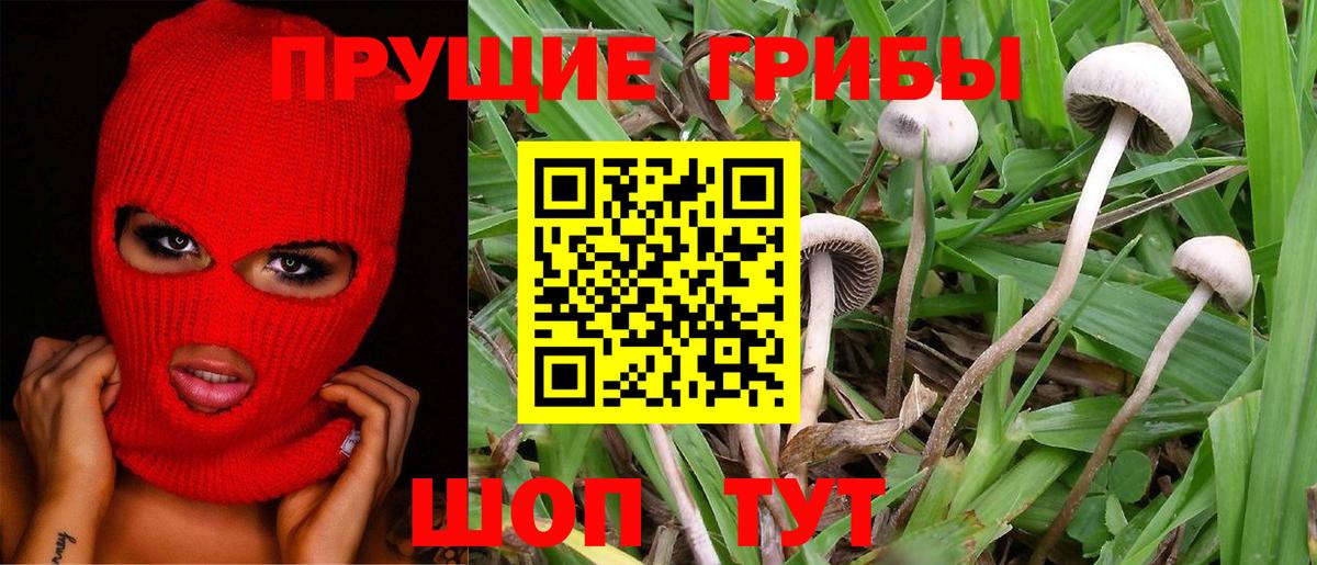 закладка  Вход с VPN  Моршанск  Псилоцибиновые грибы MAGIC MUSHROOMS  Псилоцибиновые грибы ЛСД 